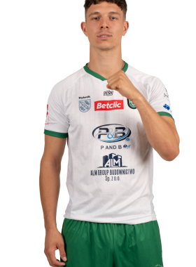 Dominik Świetlicki